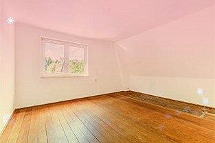 蘋果宣布全新AppleStore明日在倫敦開幕：以本地植物為設(shè)計(jì)靈感，設(shè)