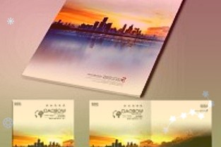 十年京東質(zhì)保只換不修：大華C900PLUS1T固態(tài)硬盤379元新低